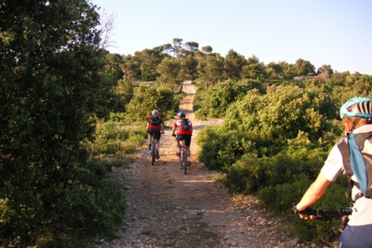 Lee Canyon Extends Mountain Bike Season and Launches New Expert Trail Amid $17 Million Upgrades