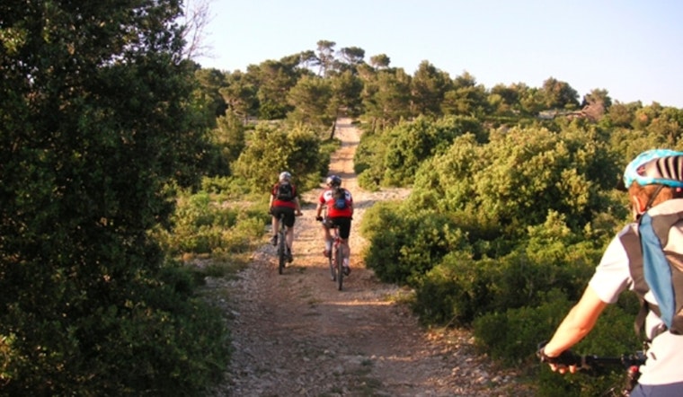 Lee Canyon Extends Mountain Bike Season and Launches New Expert Trail Amid $17 Million Upgrades