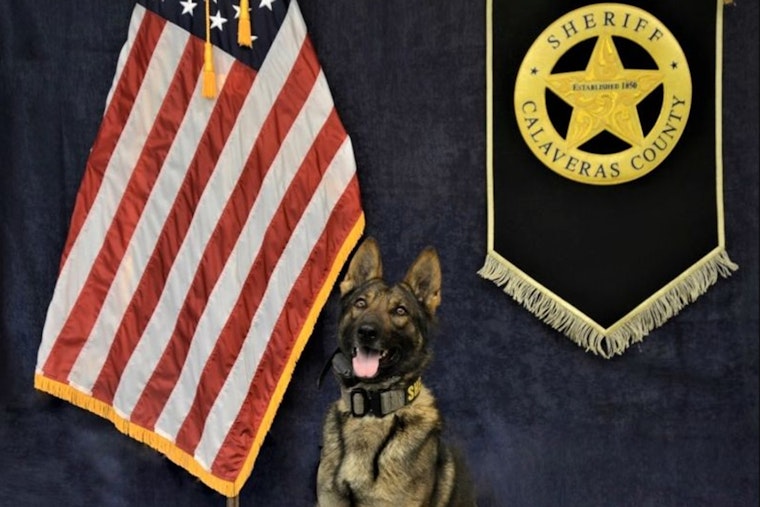 Lodi Man Charged With Multiple Felonies After Calaveras County Traffic Stop Uncovers Firearms and Narcotics
