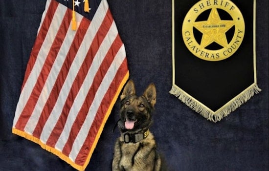 Lodi Man Charged With Multiple Felonies After Calaveras County Traffic Stop Uncovers Firearms and Narcotics