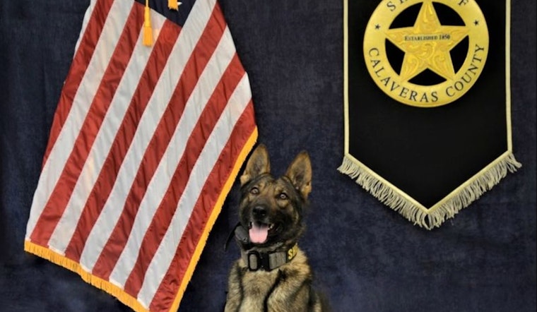 Lodi Man Charged With Multiple Felonies After Calaveras County Traffic Stop Uncovers Firearms and Narcotics