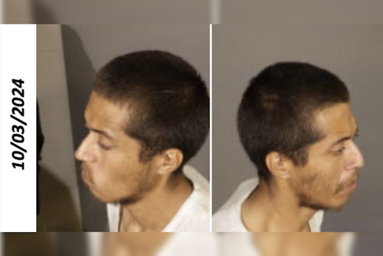 Los Angeles Arson Spree Suspect Arrested, Accused of Multiple Fires in Downtown Area