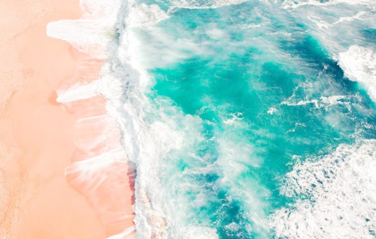 Los Angeles County Health Department Issues Water Quality Warnings for Several Popular Beaches