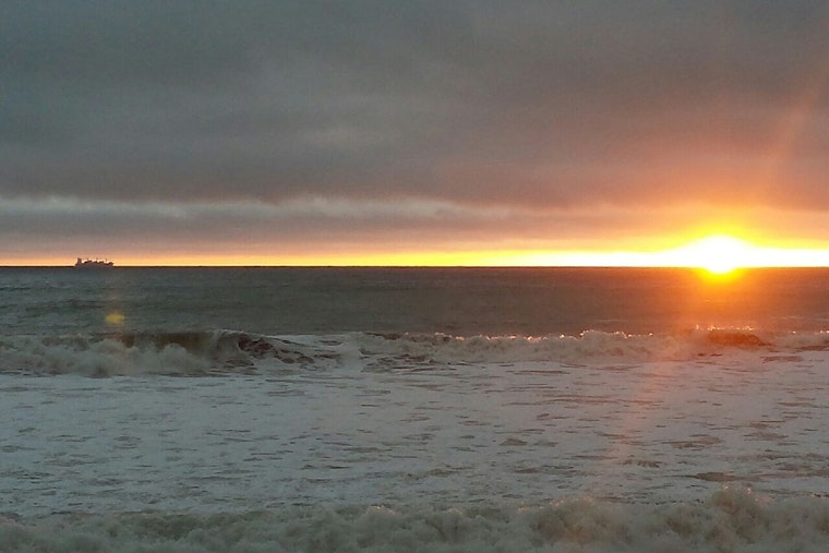 Los Angeles County Health Department Warns Against Swimming at Several Beaches Due to High Bacteria Levels