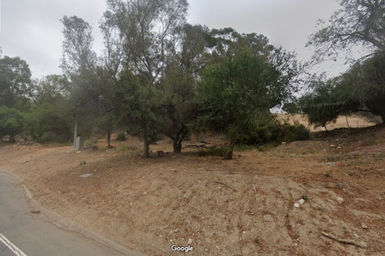 Los Angeles Firefighters Quickly Contain Brush Fire in Elysian Park