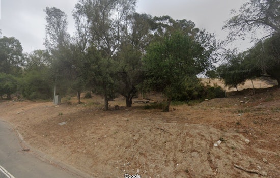 Los Angeles Firefighters Quickly Contain Brush Fire in Elysian Park