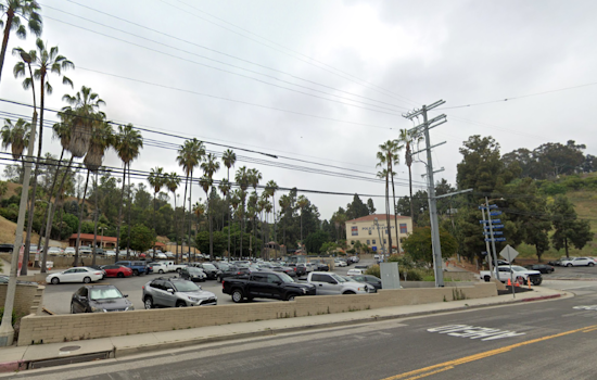 Los Angeles Firefighters Swiftly Contain Elysian Park Brush Fire, No Injuries Reported