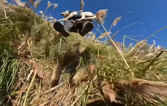 VIDEO: Man and Dog Safely Rescued from Cliffside Near Bolinas in Coordinated Helicopter Operation