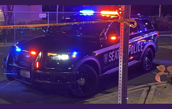 Man Fatally Stabbed in Seattle's Rainier Valley, Homicide Detectives Seeking Suspect