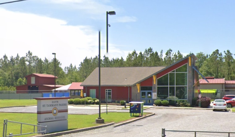 Mandeville Man Charged with 11 Counts of Animal Cruelty Following Disturbing Discovery
