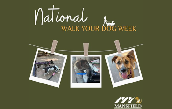 Mansfield Celebrates National Walk Your Dog Week with Outdoor Activities and Shelter Dog Walks