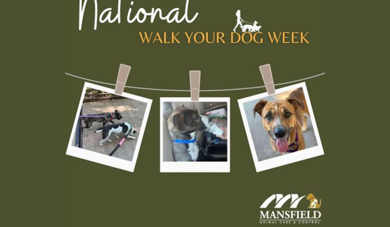 Mansfield Celebrates National Walk Your Dog Week with Outdoor Activities and Shelter Dog Walks