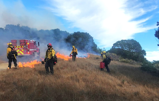 Marin County Alert: Prescribed Burns to Enhance Ecology at Mount Tamalpais State Park