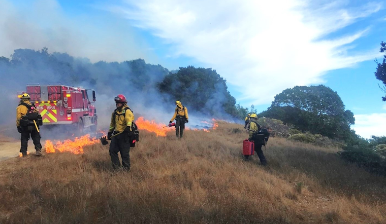 Marin County Alert: Prescribed Burns to Enhance Ecology at Mount Tamalpais State Park
