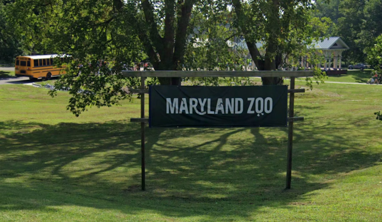 Maryland Zoo Honors Dr. Kate Evans with Conservation Award for African Elephant Research