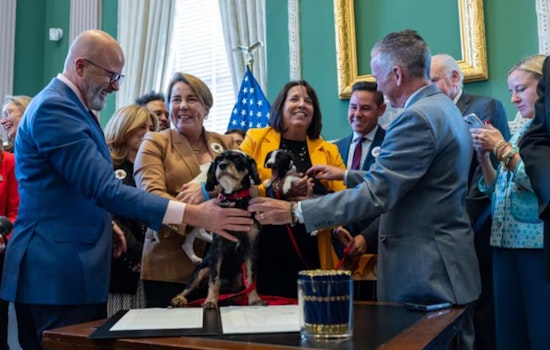 Massachusetts Enacts "Ollie’s Law" to Boost Kennel Safety in Wake of Labradoodle's Death