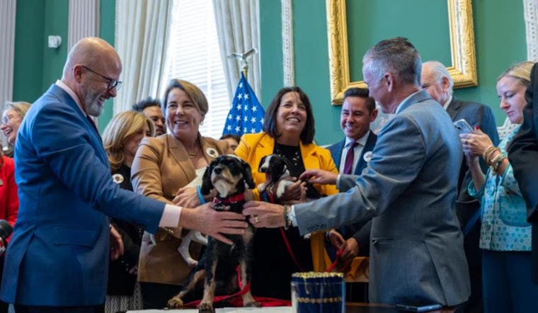 Massachusetts Enacts "Ollie’s Law" to Boost Kennel Safety in Wake of Labradoodle's Death