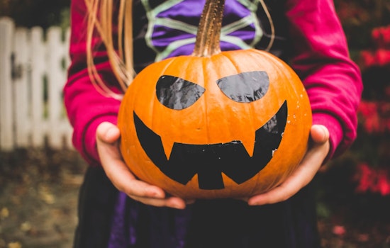 Metro Detroit Buzzes with Festive Spirit, Spooktacular Events & Cultural Acts Enliven the Halloween Weekend