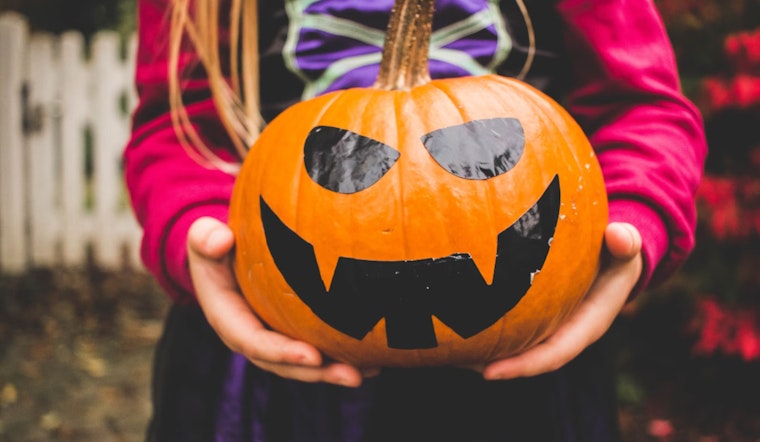 Metro Detroit Buzzes with Festive Spirit, Spooktacular Events & Cultural Acts Enliven the Halloween Weekend