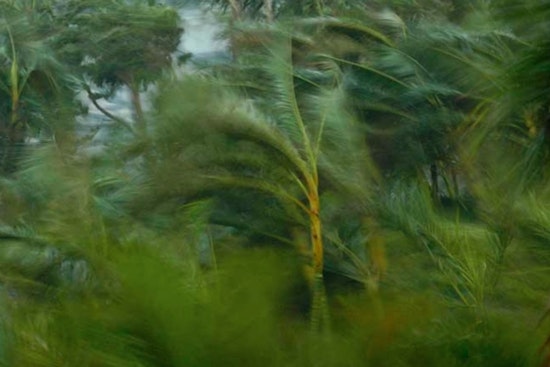 Miami-Dade County Declares Emergency as Hurricane Milton Causes Widespread Flooding and Urges Residents to Stay Indoors