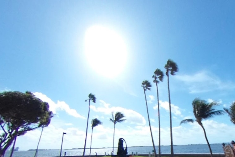 Miami Enjoys Sunny Halloween with Breezy Conditions and Mild Week Ahead