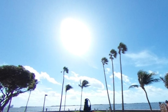 Miami Enjoys Sunny Halloween with Breezy Conditions and Mild Week Ahead