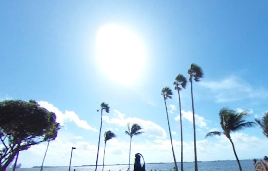 Miami Enjoys Sunny Halloween with Breezy Conditions and Mild Week Ahead
