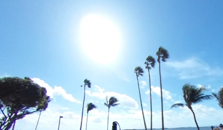 Miami Enjoys Sunny Halloween with Breezy Conditions and Mild Week Ahead