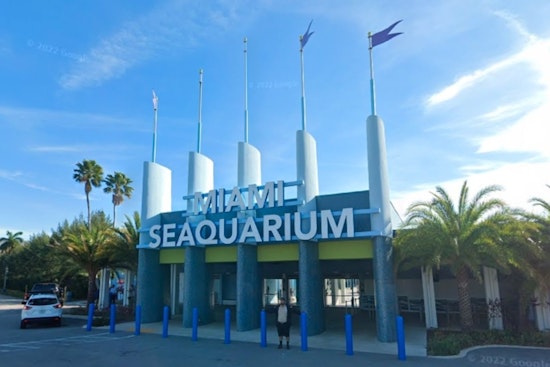 Miami Seaquarium and Miami-Dade County Head to Mediation Over Eviction Dispute