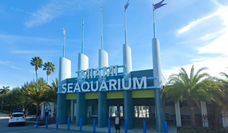 Miami Seaquarium and Miami-Dade County Head to Mediation Over Eviction Dispute