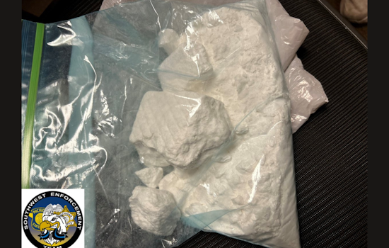 Michigan Man Charged With Possession of Cocaine and Homemade Explosives in Benton Township Drug Bust