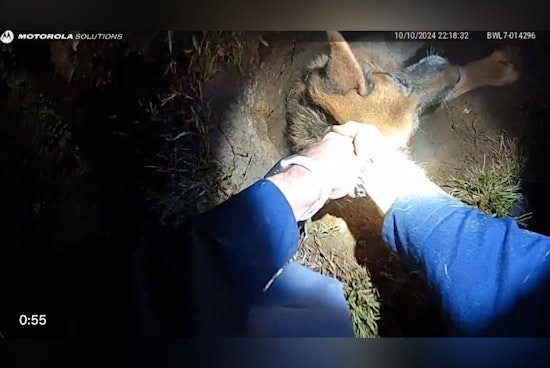 Michigan State Trooper's Dog Rescued by Sophomore from Watervliet Township Gas Line Hole