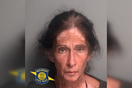 Michigan Woman Charged with Animal Cruelty for Keeping 18 Dogs in Poor Conditions