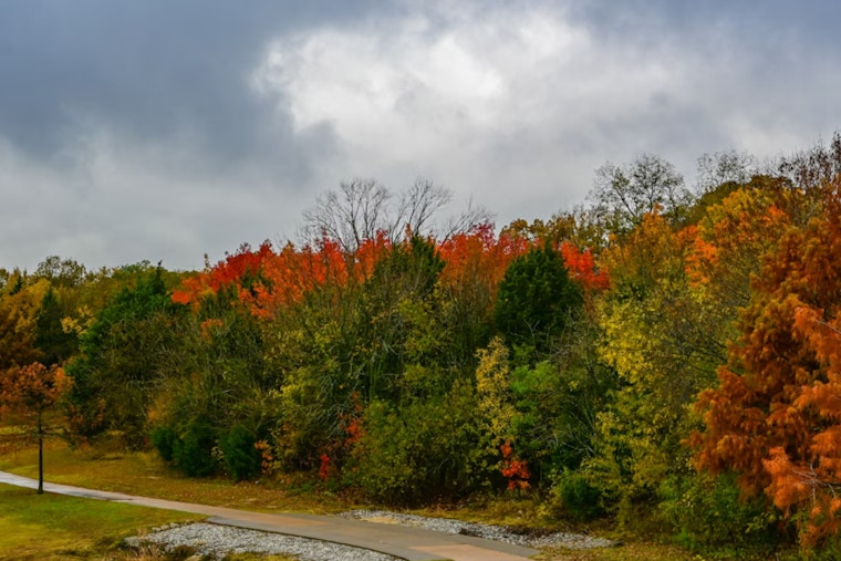 Michigan's Autumnal Display Delays: Experts Predict Peak Fall Colors