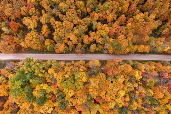 Michigan's Spectacular Fall Colors Captured by Satellite and Local Photographers