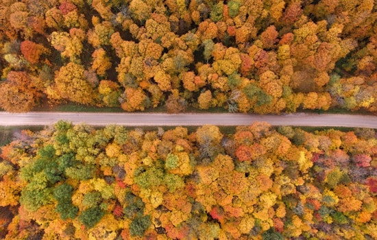 Michigan's Spectacular Fall Colors Captured by Satellite and Local Photographers