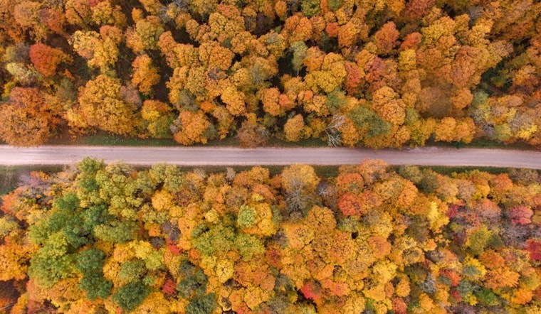 Michigan's Spectacular Fall Colors Captured by Satellite and Local Photographers