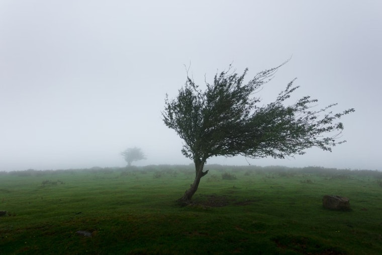 Milwaukee Hit by Potent Winds, Authorities Issue Advisory and Warn of Driving Hazards