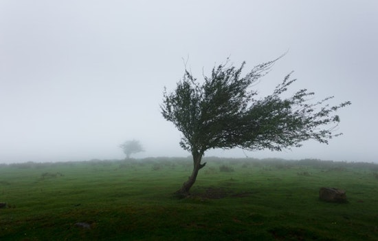 Milwaukee Hit by Potent Winds, Authorities Issue Advisory and Warn of Driving Hazards