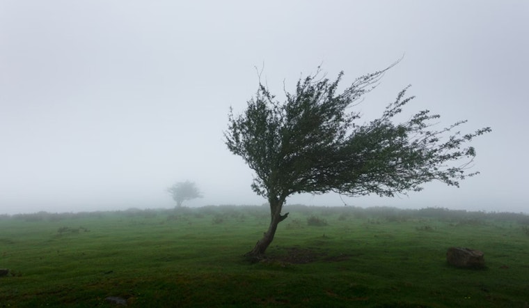 Milwaukee Hit by Potent Winds, Authorities Issue Advisory and Warn of Driving Hazards
