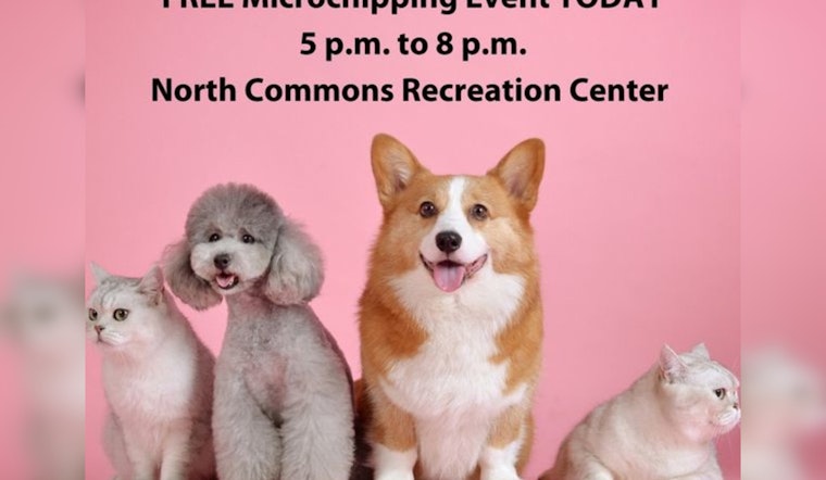 Minneapolis Animal Care & Control Offers Free Microchipping to Enhance Pet Recovery Rates