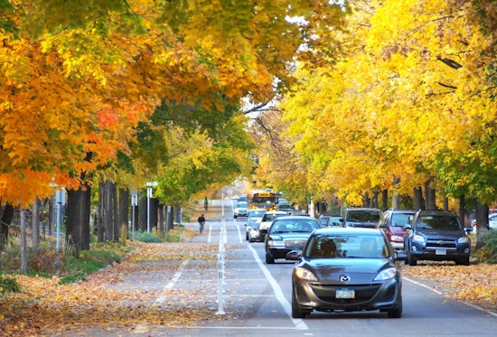 Minneapolis Announces Street Sweeping Schedule; Residents Urged to Observe "No Parking" Signs for Leaf Cleanup
