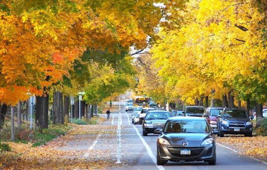 Minneapolis Announces Street Sweeping Schedule; Residents Urged to Observe "No Parking" Signs for Leaf Cleanup