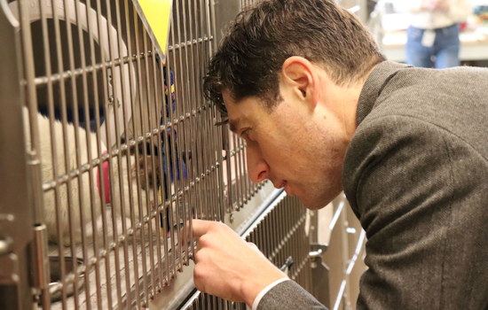 Minneapolis "Clear the Shelter" Event, Free Adoptions on Oct. 25-26 Through MACC and ASPCA Partnership