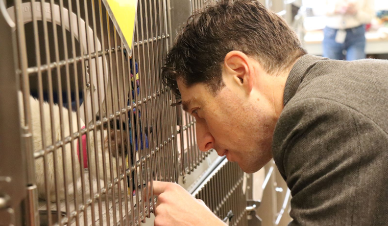 Minneapolis "Clear the Shelter" Event, Free Adoptions on Oct. 25-26 Through MACC and ASPCA Partnership