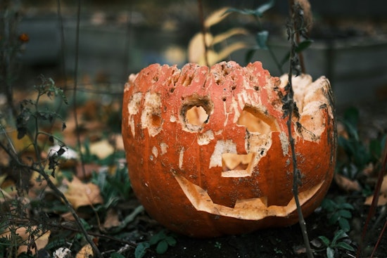 Minneapolis Encourages Eco-Friendly Disposal of Halloween Pumpkins and Decor
