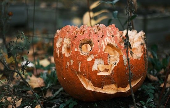 Minneapolis Encourages Eco-Friendly Disposal of Halloween Pumpkins and Decor