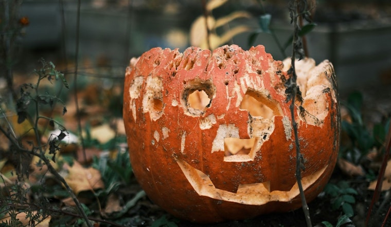 Minneapolis Encourages Eco-Friendly Disposal of Halloween Pumpkins and Decor