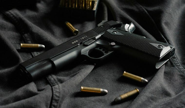 Minneapolis Police Promote Public Safety with Gun Storage Initiative