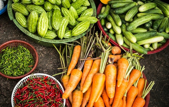 Minnesota Celebrates Farm to School Month, Bridging Agriculture and Education for Healthier Futures